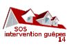 SOS INTERVENTION GUEPES DERATISATION 14