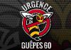 URGENCE GUEPES-FRELONS 60