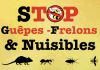 STOP GUEPES-FRELONS ET NUISIBLES