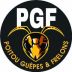 POITOU GUEPES ET FRELONS