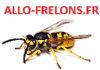 ALLO FRELONS